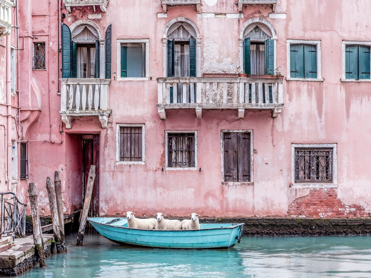 Rosewater_2026
