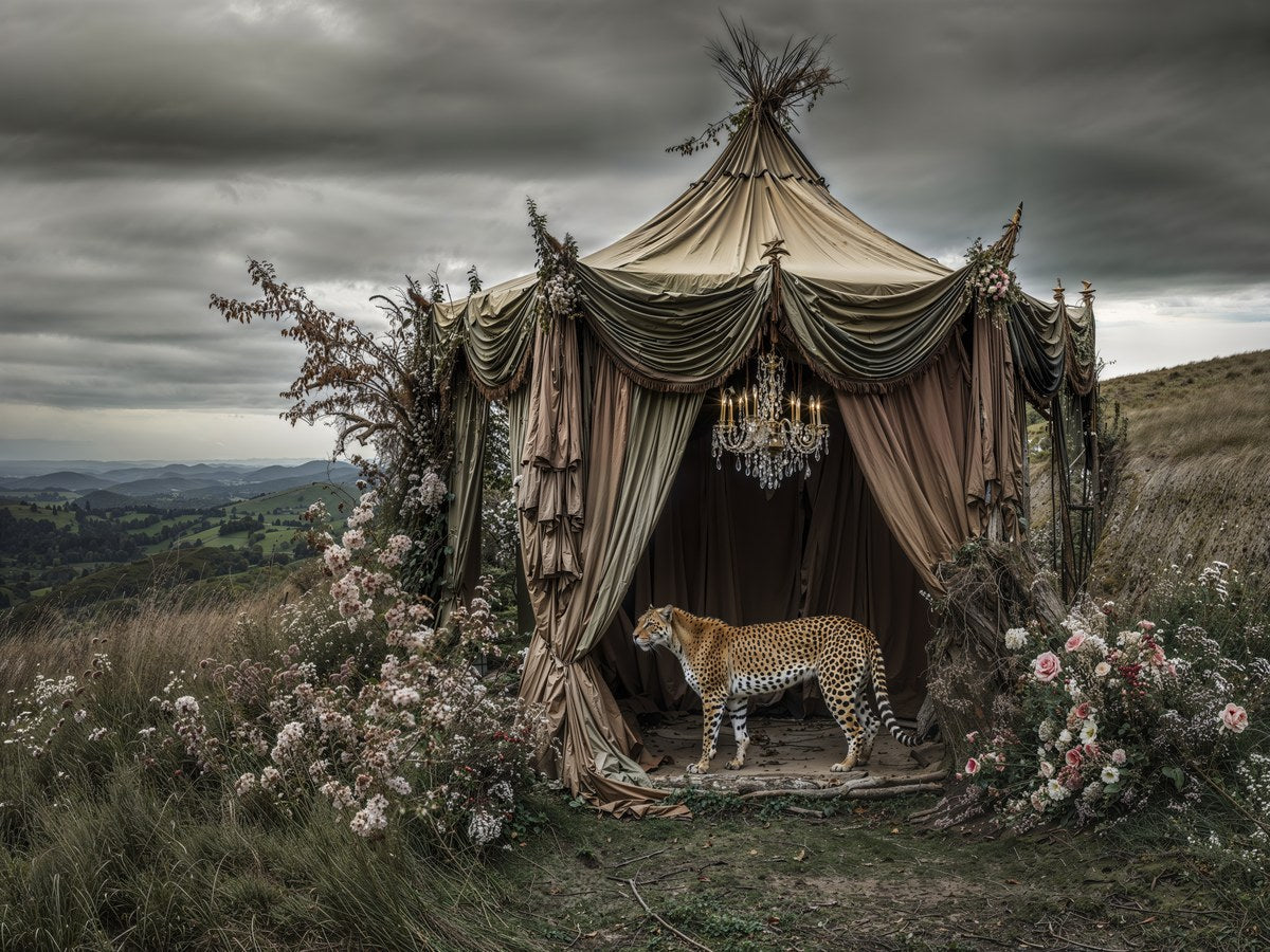 The Still Meadow_2026