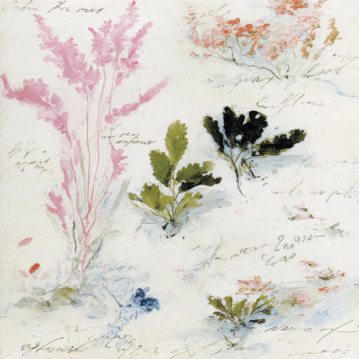 Woodland Memoir No.2_2026