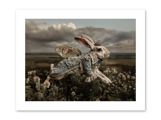 A Theory of Bloom.No.2  -- Paper Print 12x9