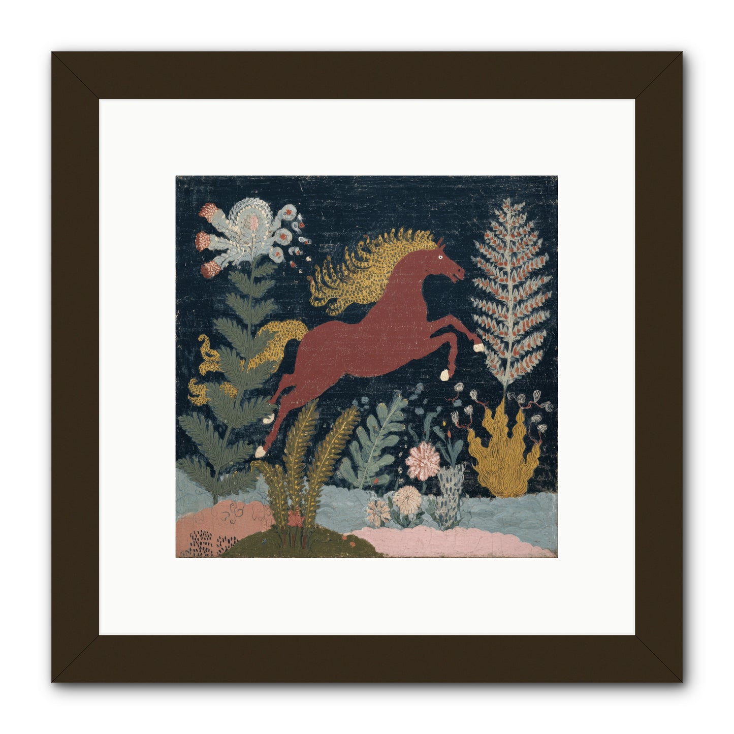 Among Ferns -- Framed Print - Black 10x10