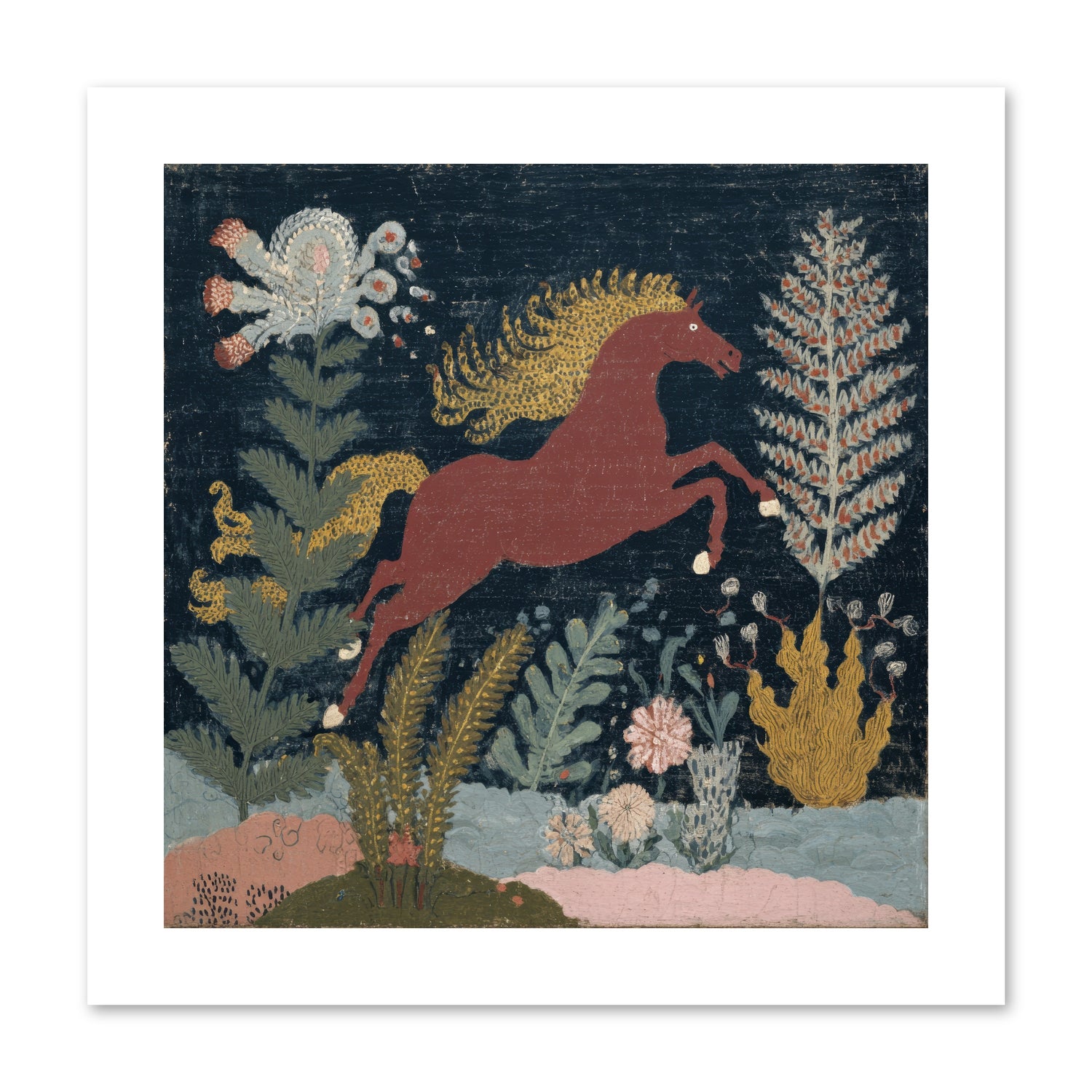 Among Ferns -- Paper Print 10x10