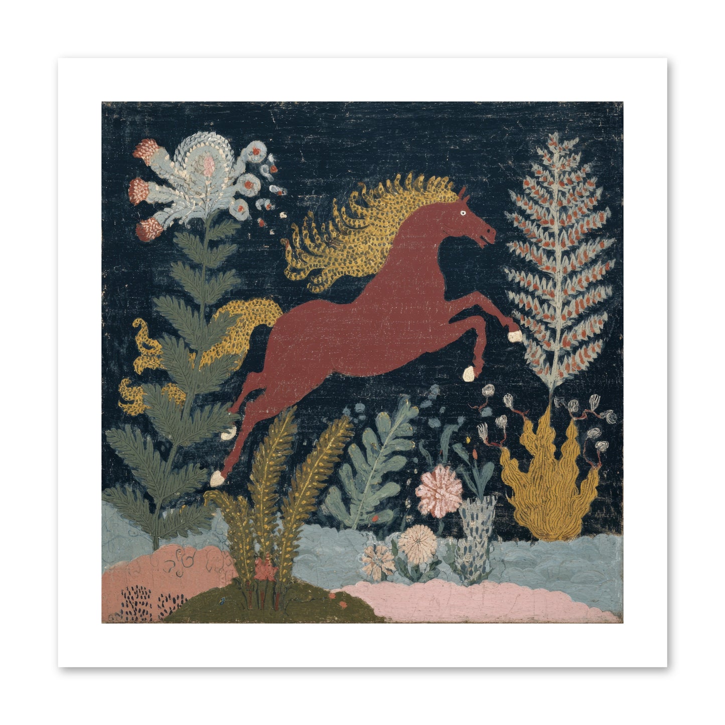 Among Ferns -- Paper Print 12x12