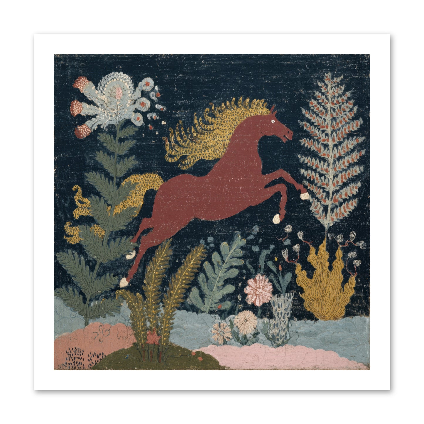 Among Ferns -- Paper Print 16x16