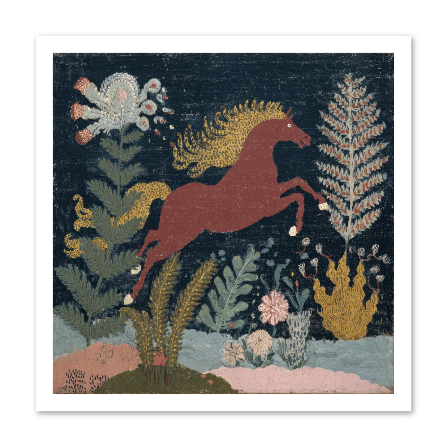 Among Ferns -- Loose Canvas Print 20x20