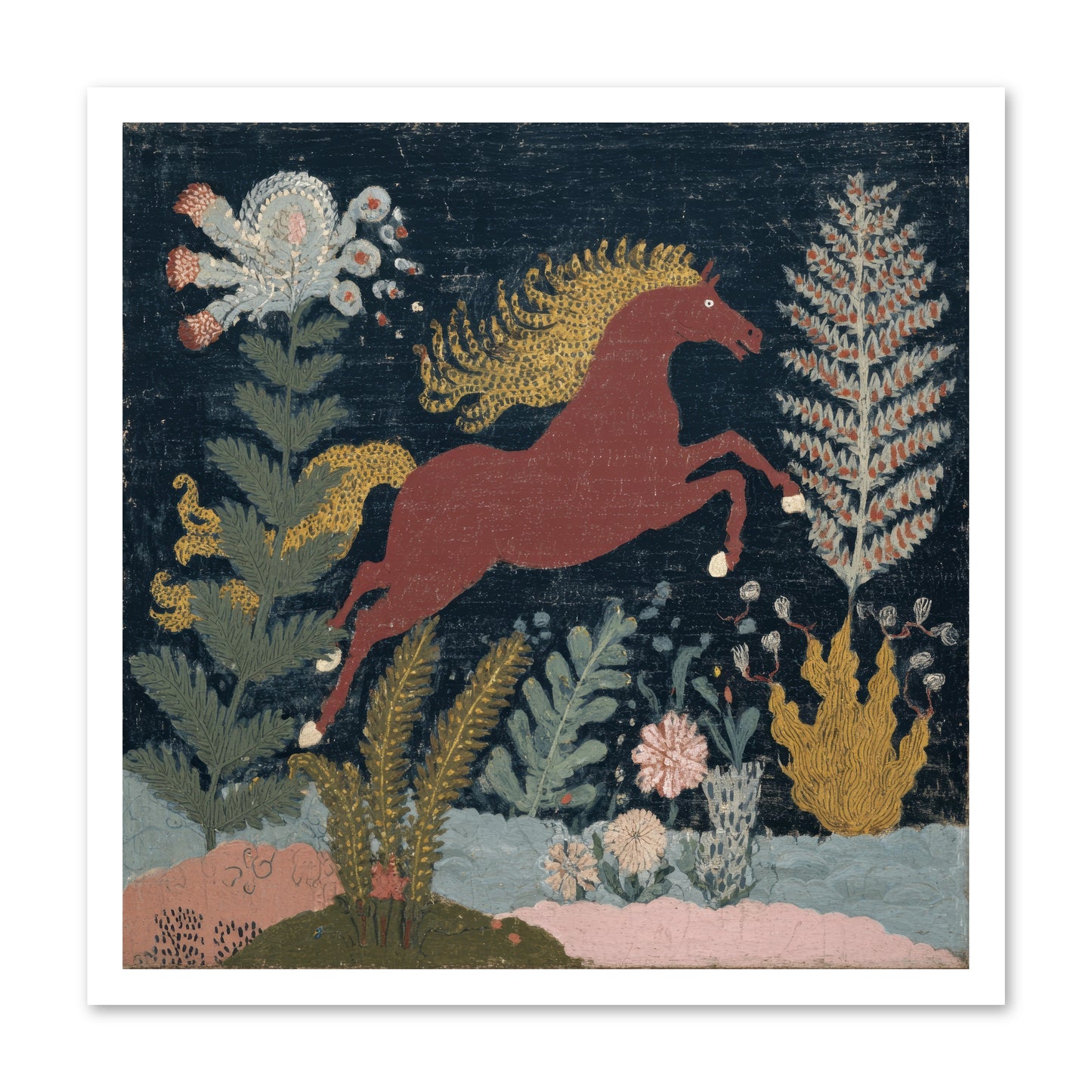 Among Ferns -- Loose Canvas Print 24x24