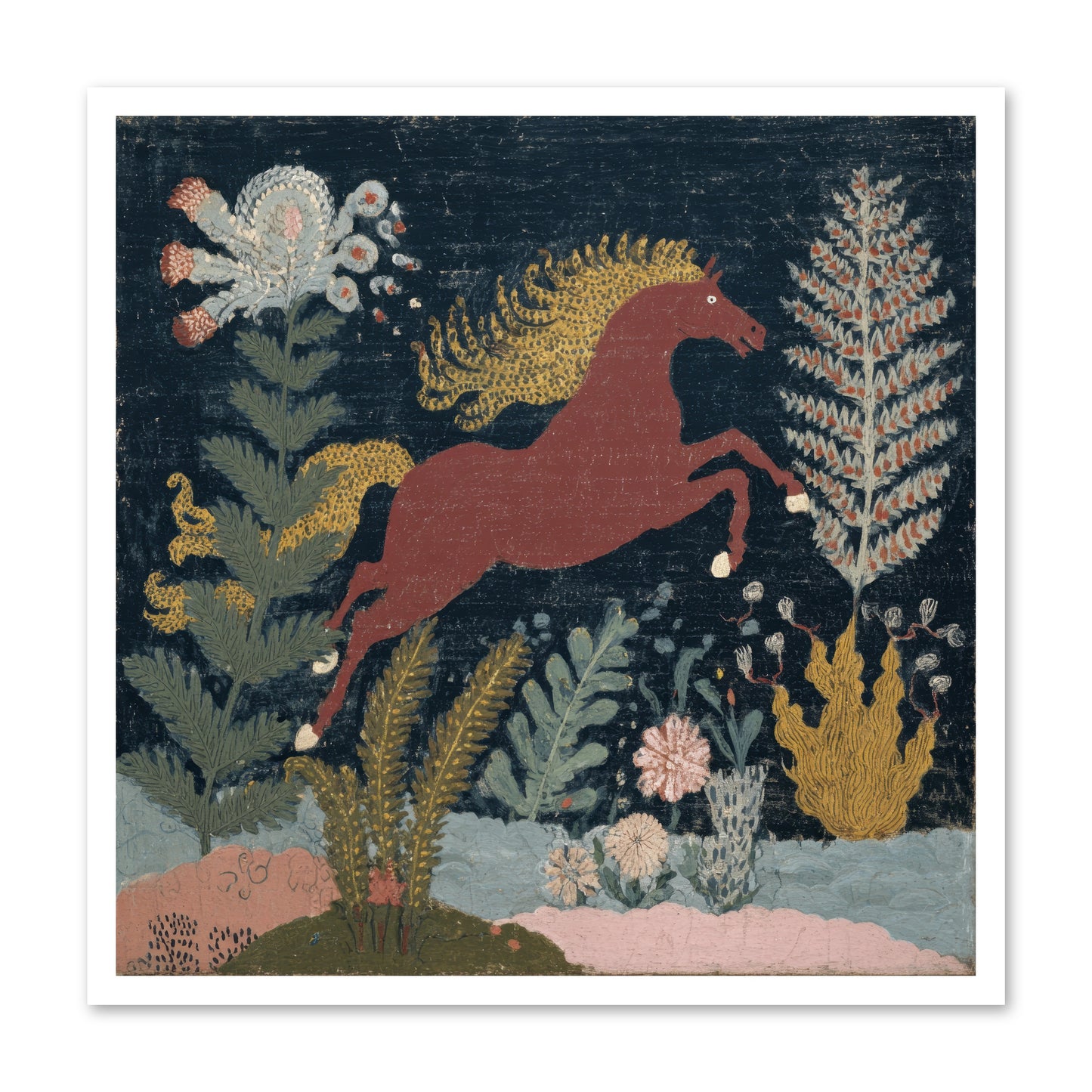 Among Ferns -- Paper Print 30x30