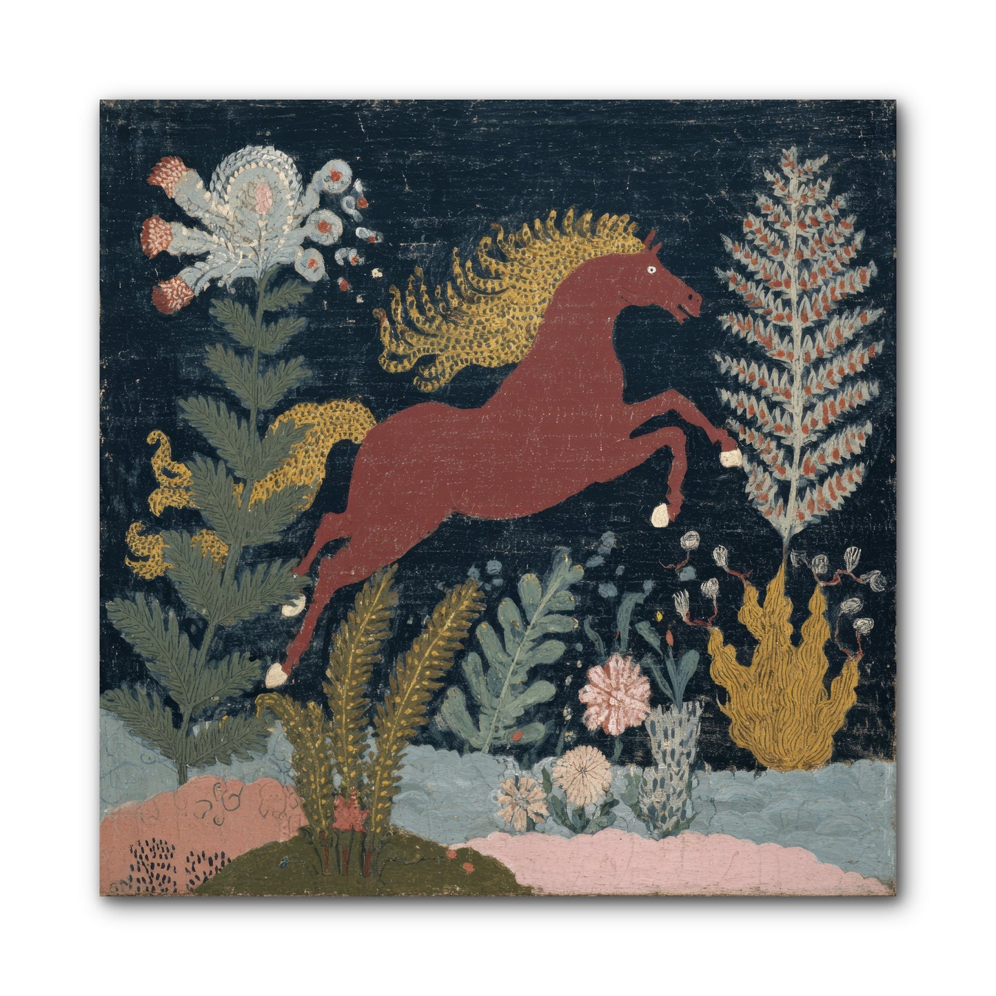 Among Ferns -- Wrapped Canvas 10x10
