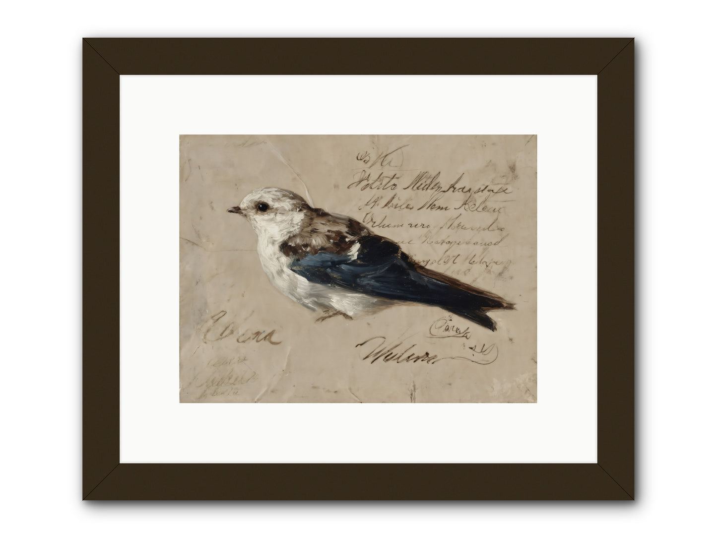 Apollo Rising -- Framed Print - Black 12x9