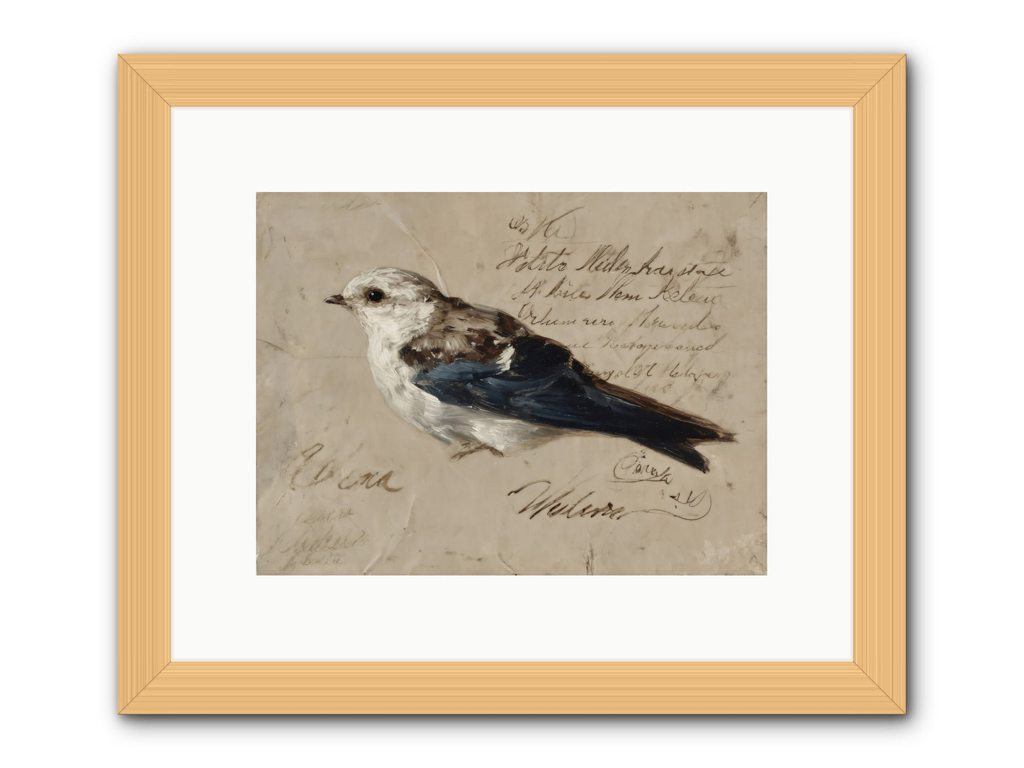 Apollo Rising -- Framed Print - Natural 12x9