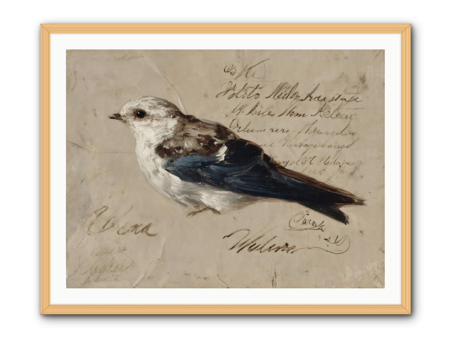 Apollo Rising -- Framed Print - Natural 40x30
