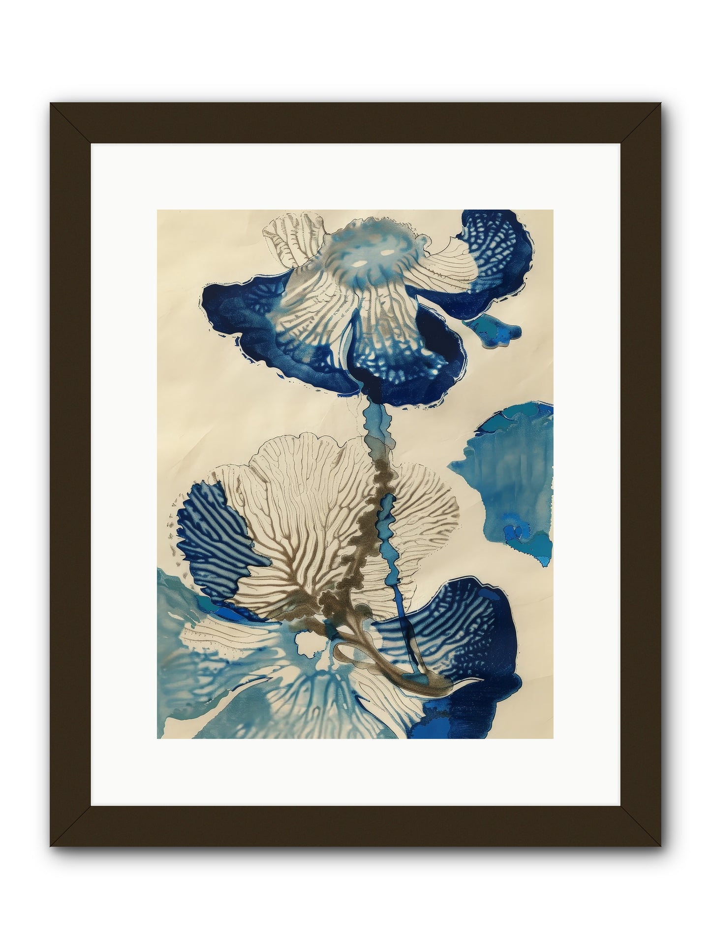 Aquatic Botany -- Framed Print - Black 12x16