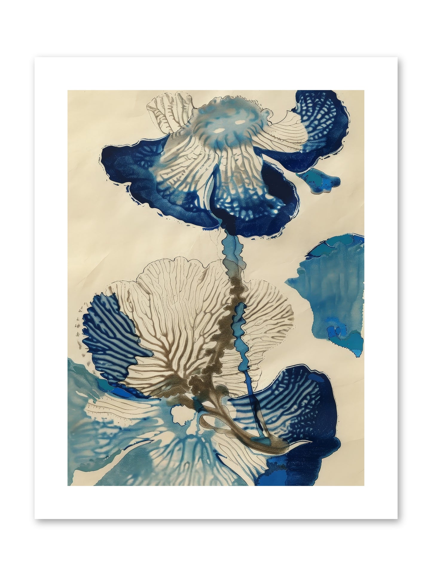 Aquatic Botany -- Paper Print 9x12