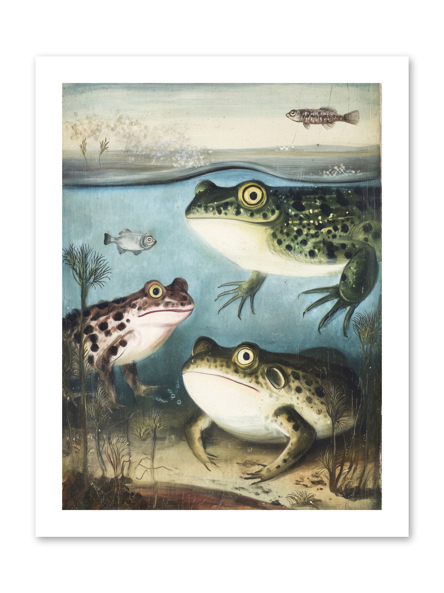 Aquatic Grace -- Paper Print 12x16