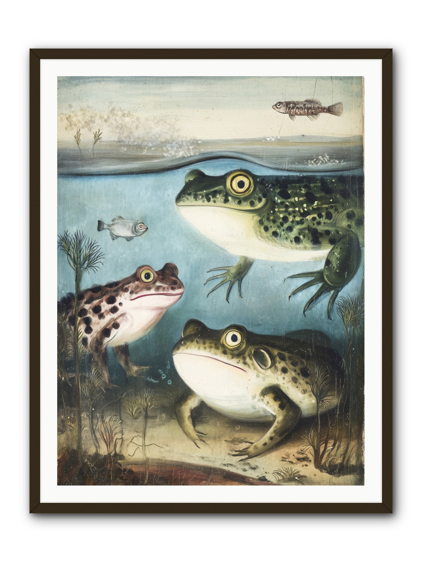 Aquatic Grace -- Framed Print - Black 36x48