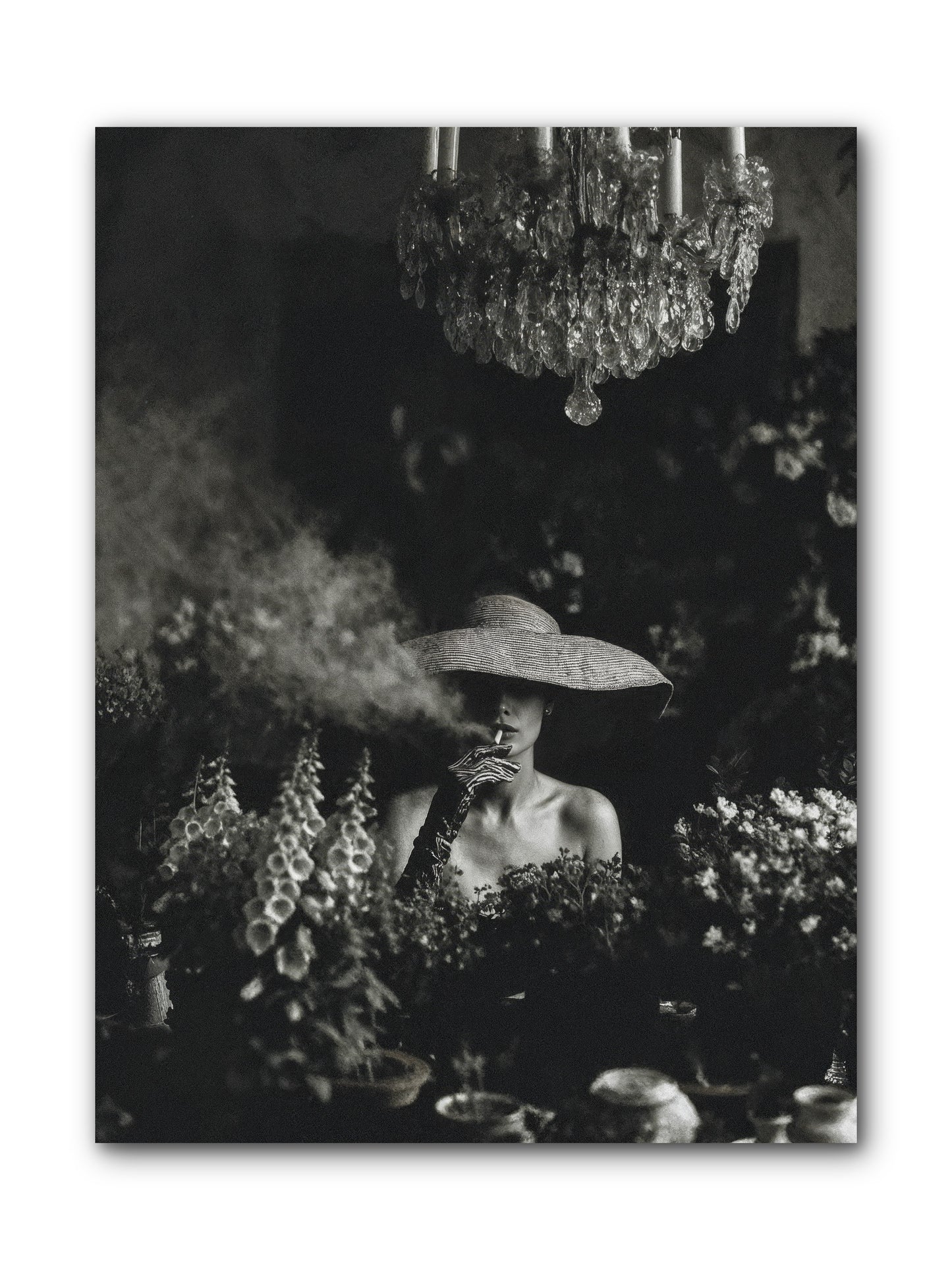 Beyond the Garden Wall -- Wrapped Canvas 9x12