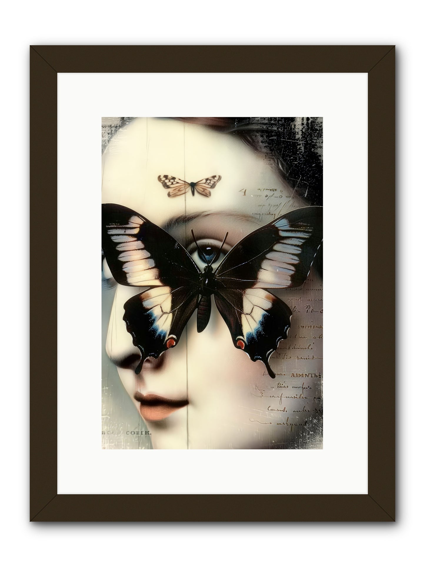 Butterfly's Last Dance -- Framed Print - Black 10x15