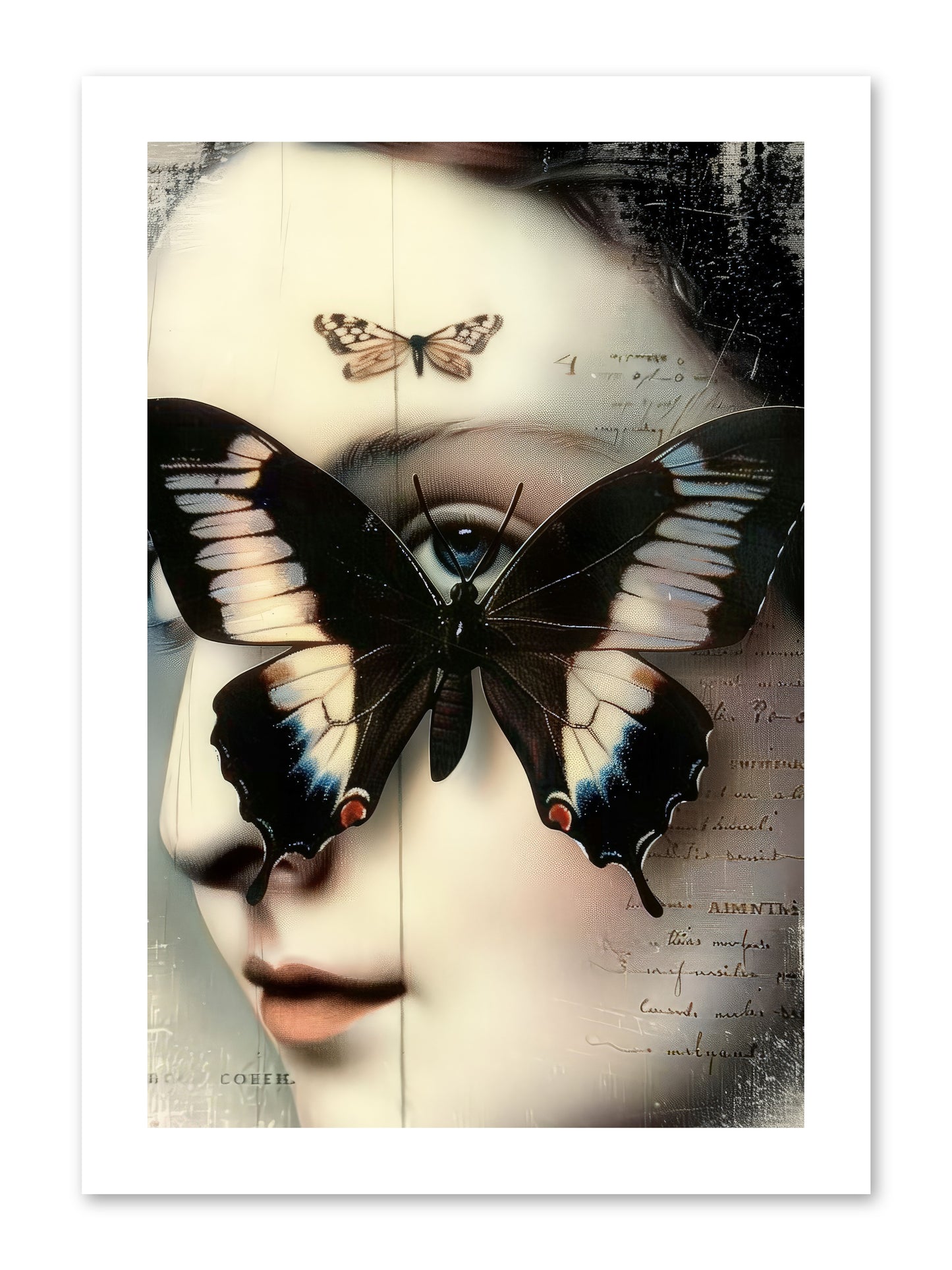 Butterfly's Last Dance -- Loose Canvas Print 10x15