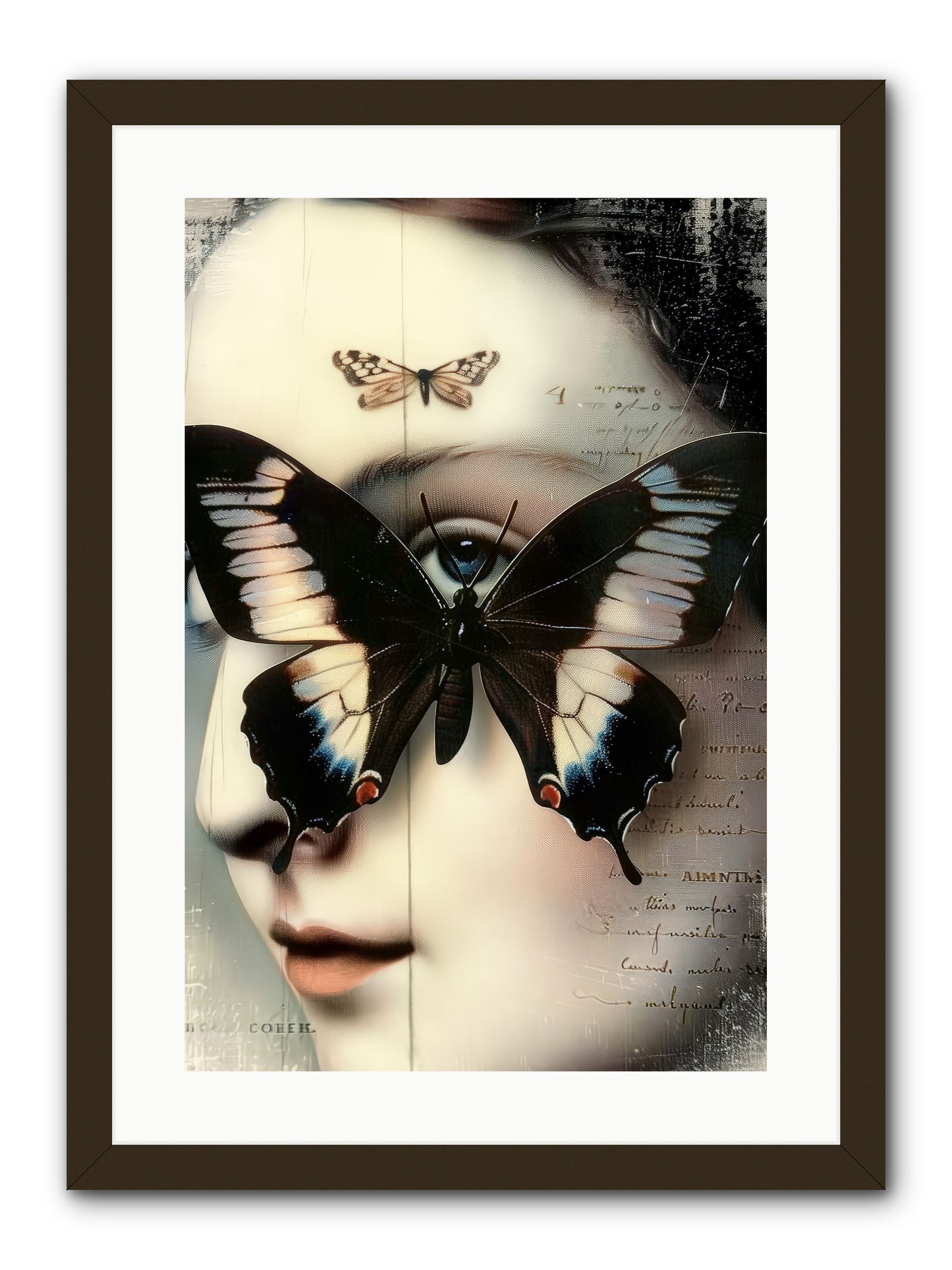 Butterfly's Last Dance -- Framed Print - Black 16x24
