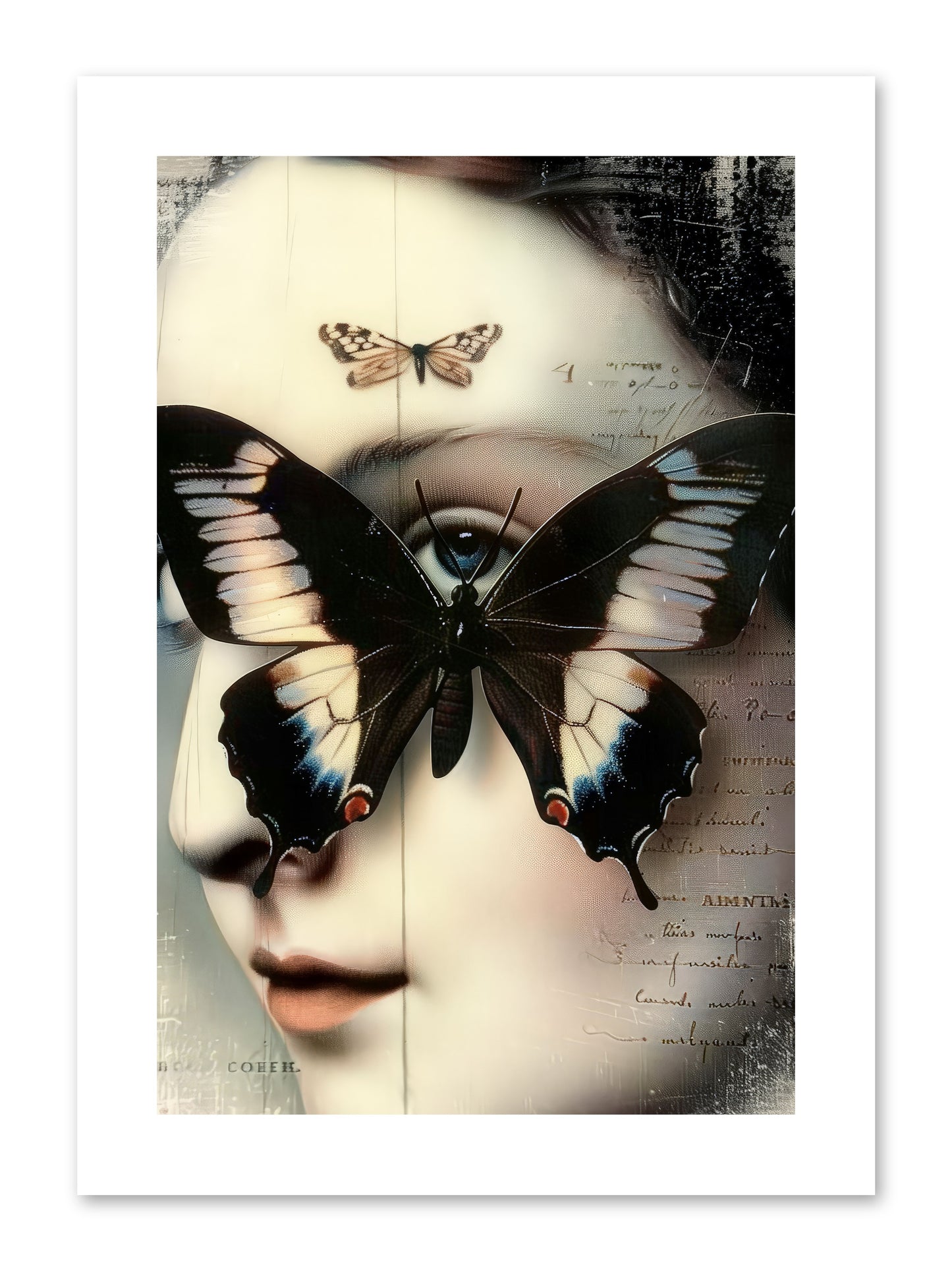 Butterfly's Last Dance -- Loose Canvas Print 8x12