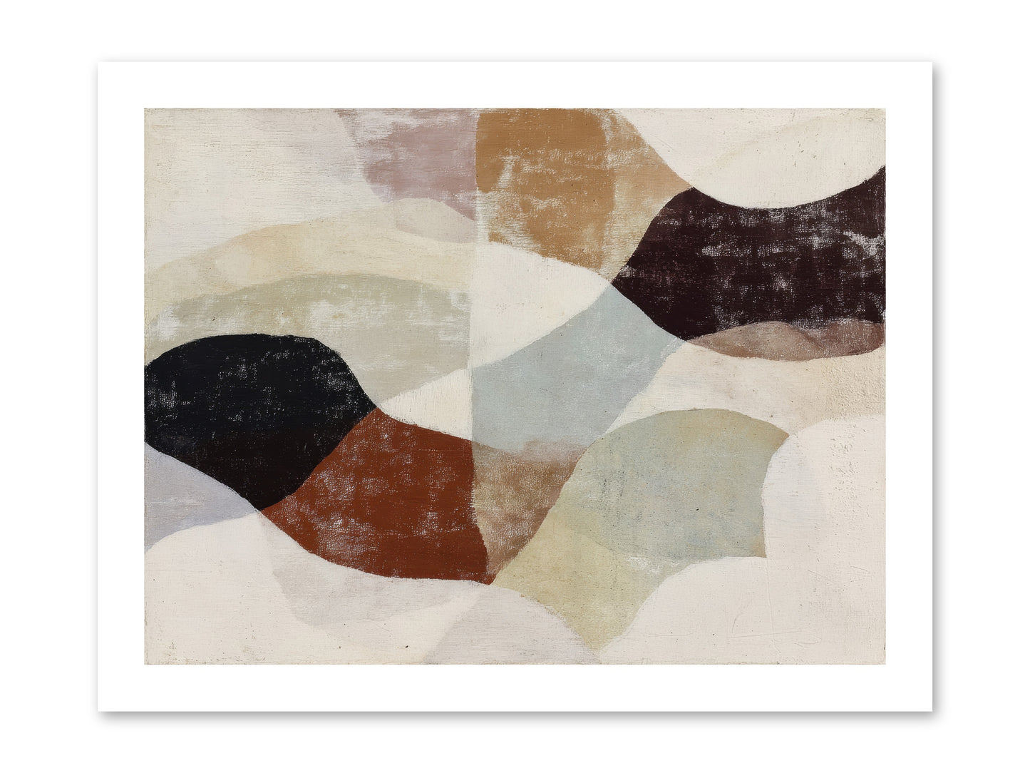 Cascara -- Paper Print 16x12