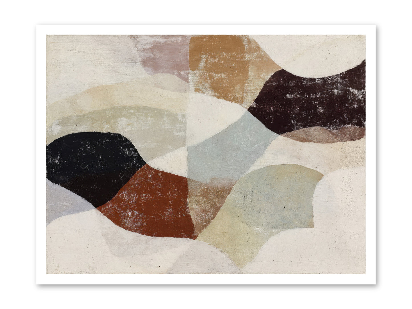 Cascara -- Paper Print 32x24