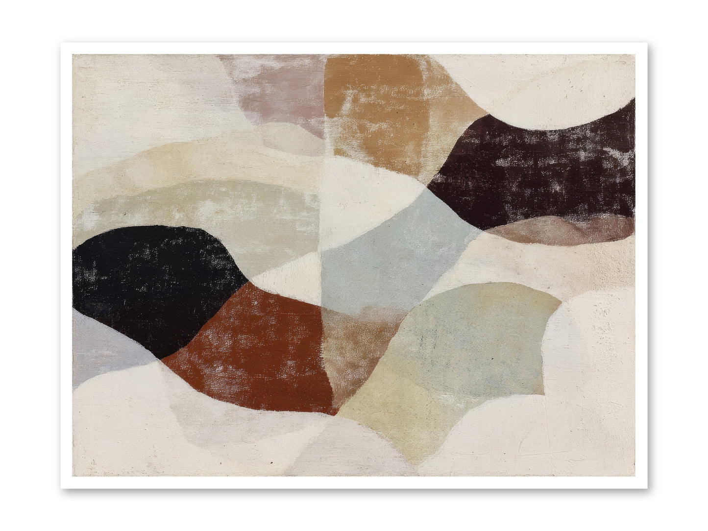 Cascara -- Paper Print 48x36