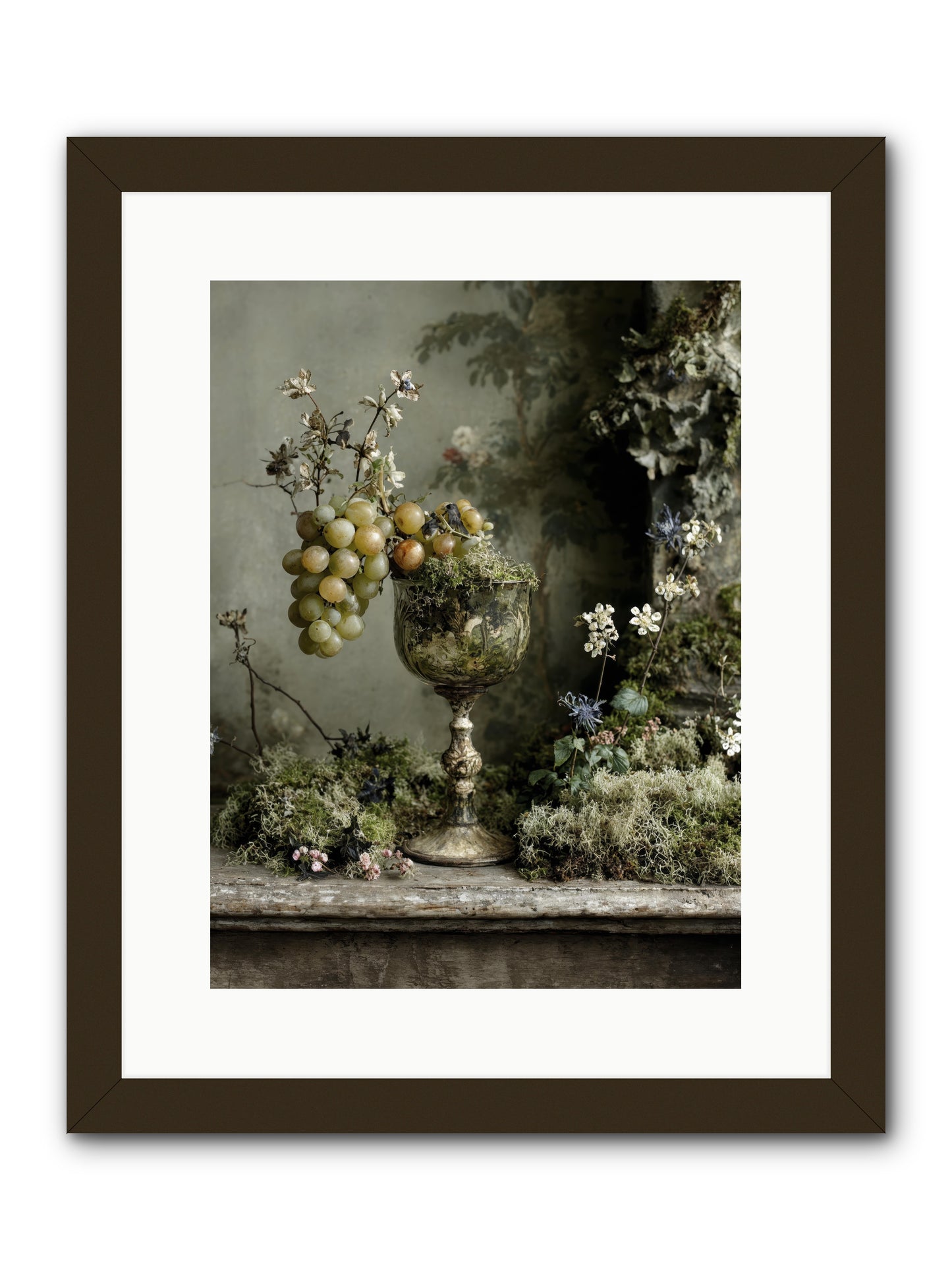 Catalina -- Framed Print - Black 12x16