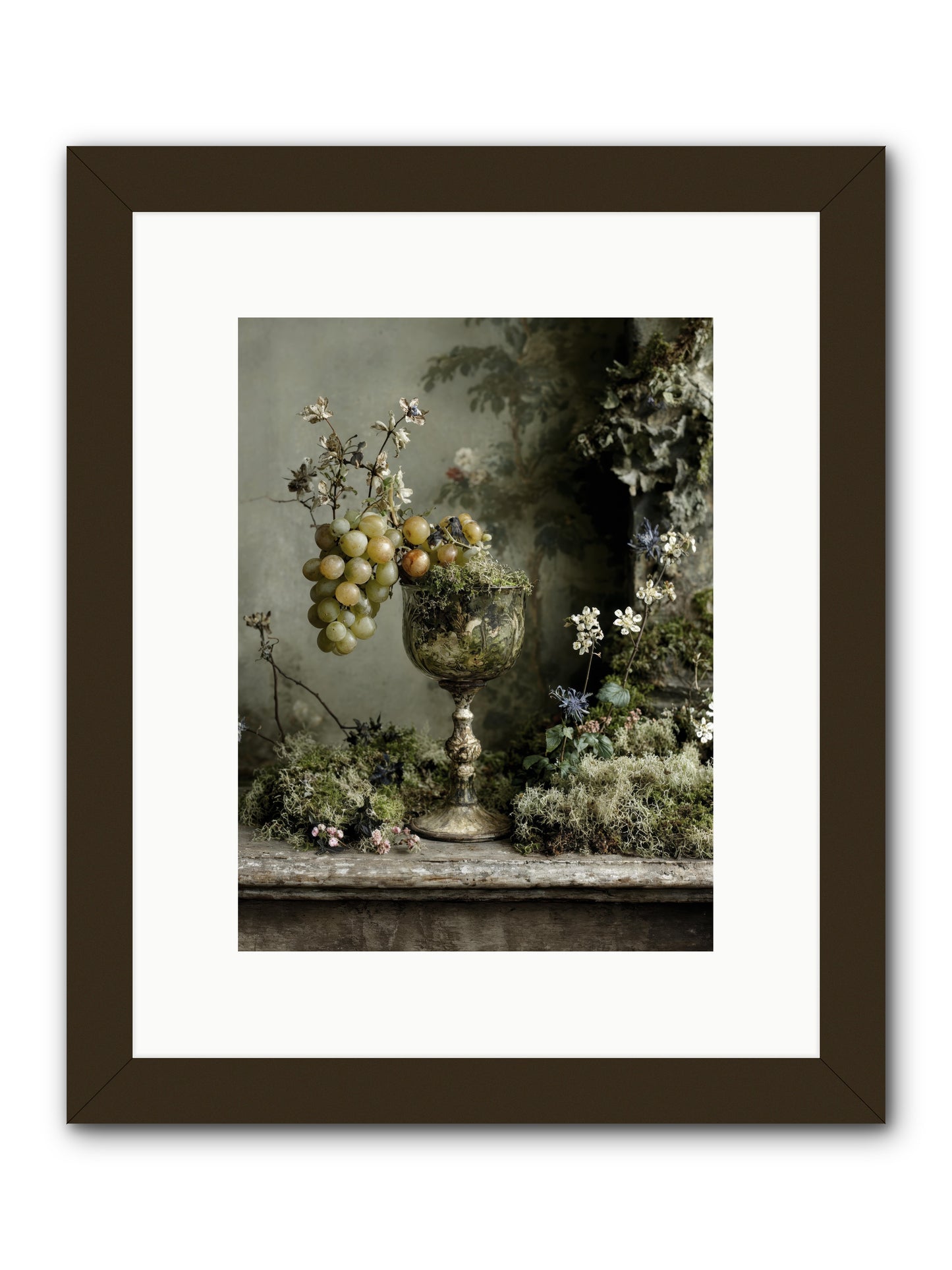 Catalina -- Framed Print - Black 9x12