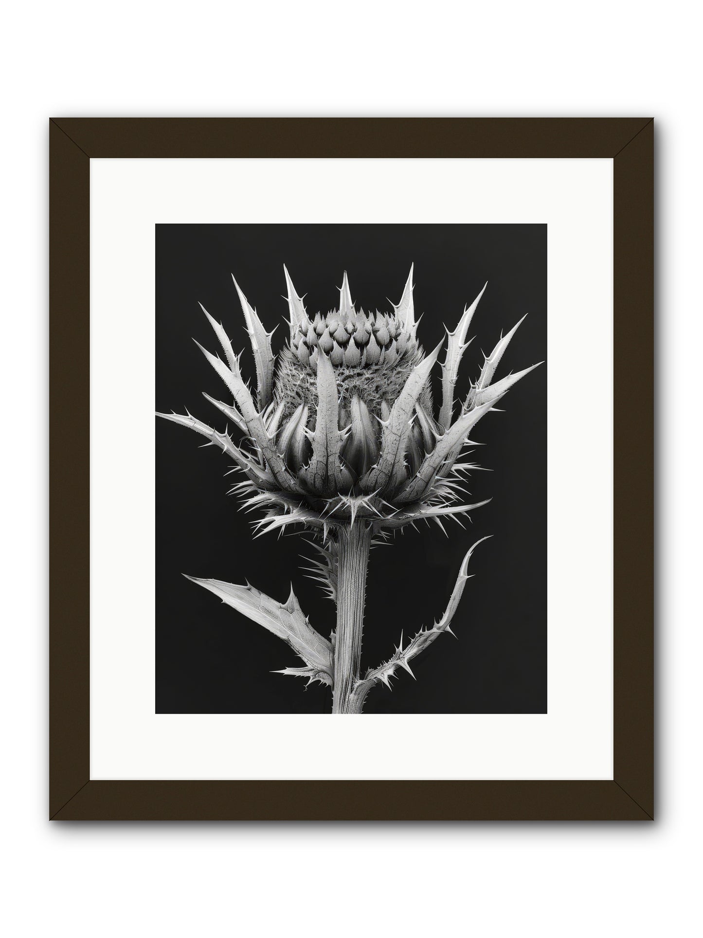 Chardon Bleu -- Framed Print - Black 12x15