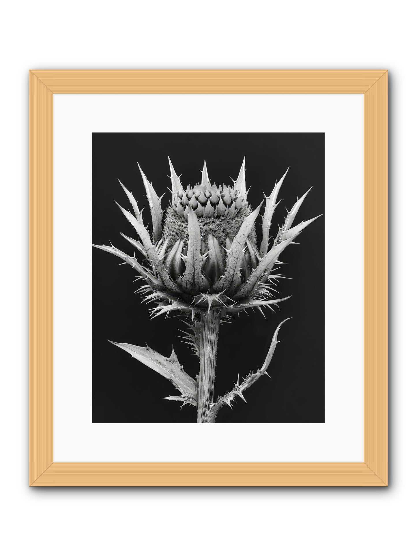 Chardon Bleu -- Framed Print - Natural 12x15