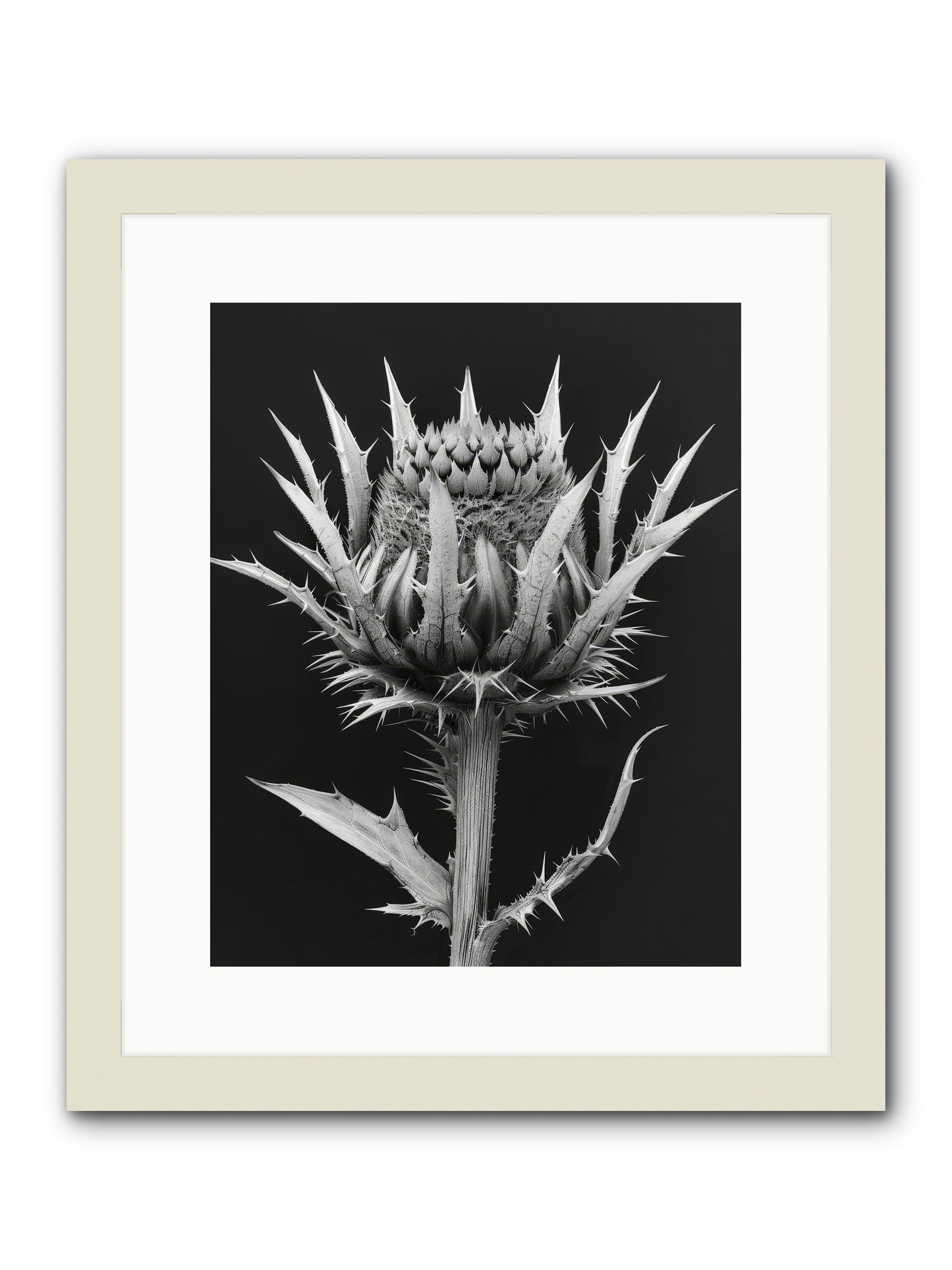 Chardon Bleu -- Framed Print - White 12x15