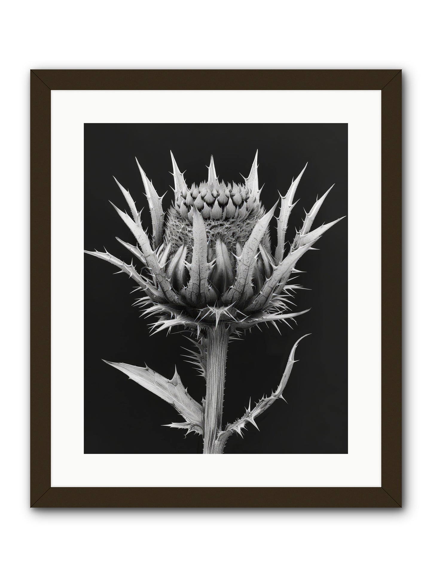 Chardon Bleu -- Framed Print - Black 16x20