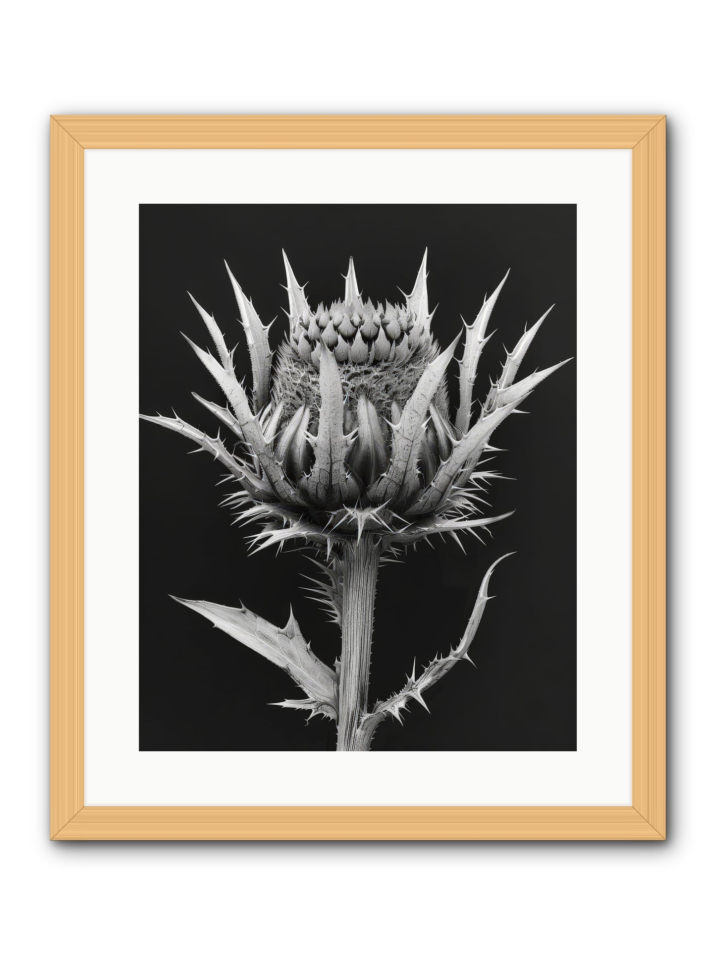 Chardon Bleu -- Framed Print - Natural 16x20