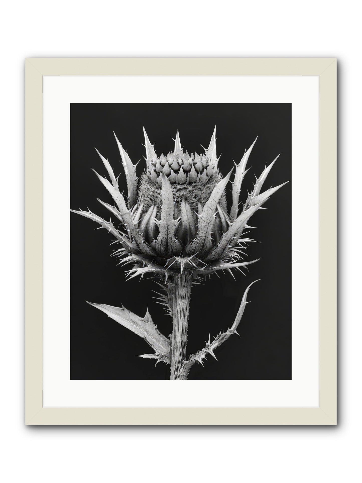 Chardon Bleu -- Framed Print - White 16x20