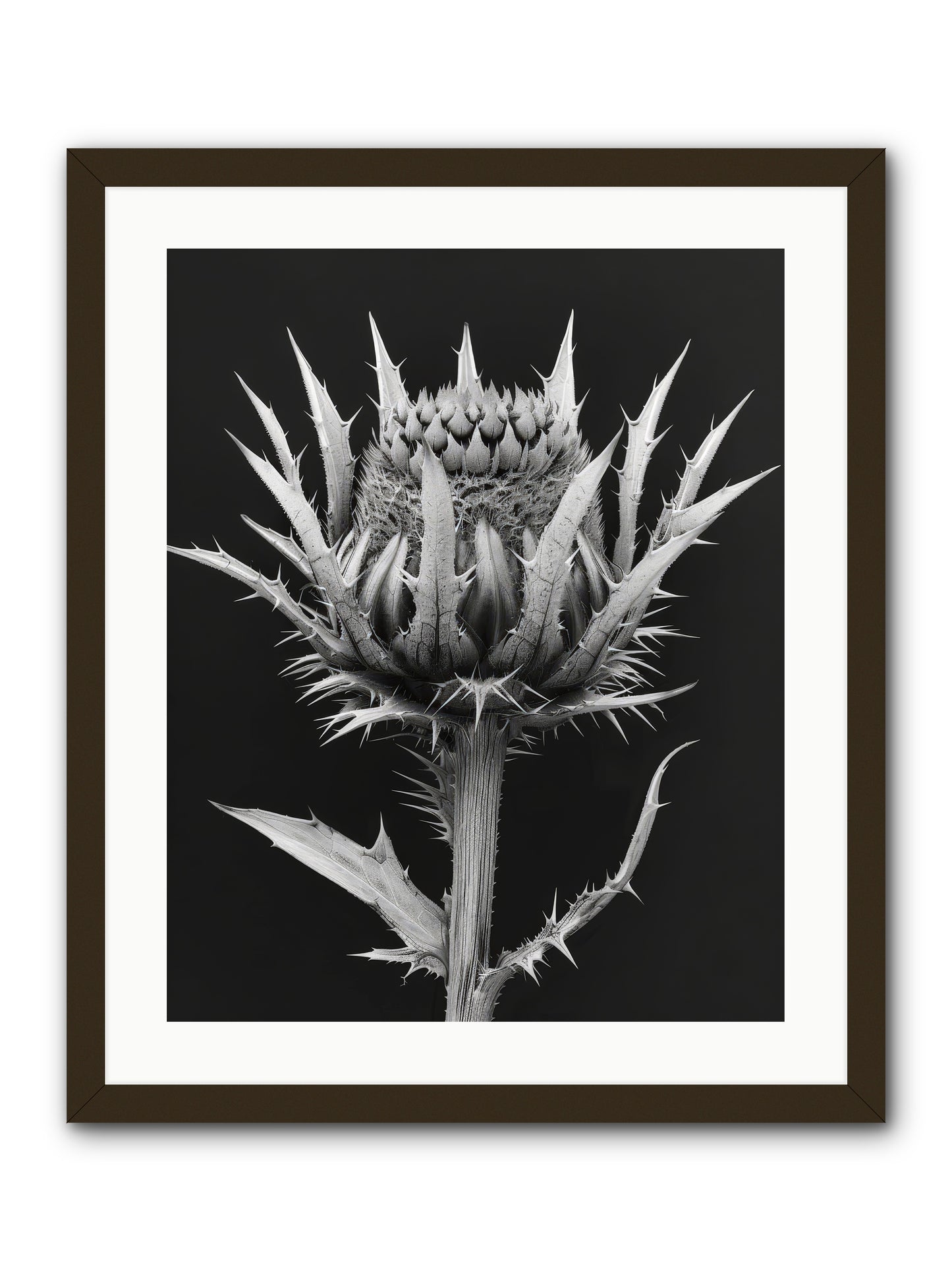 Chardon Bleu -- Framed Print - Black 20x25