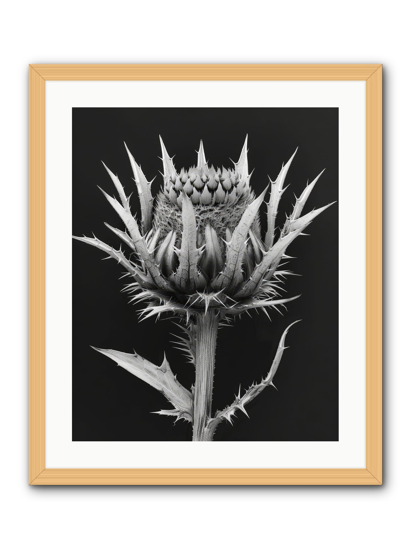 Chardon Bleu -- Framed Print - Natural 20x25
