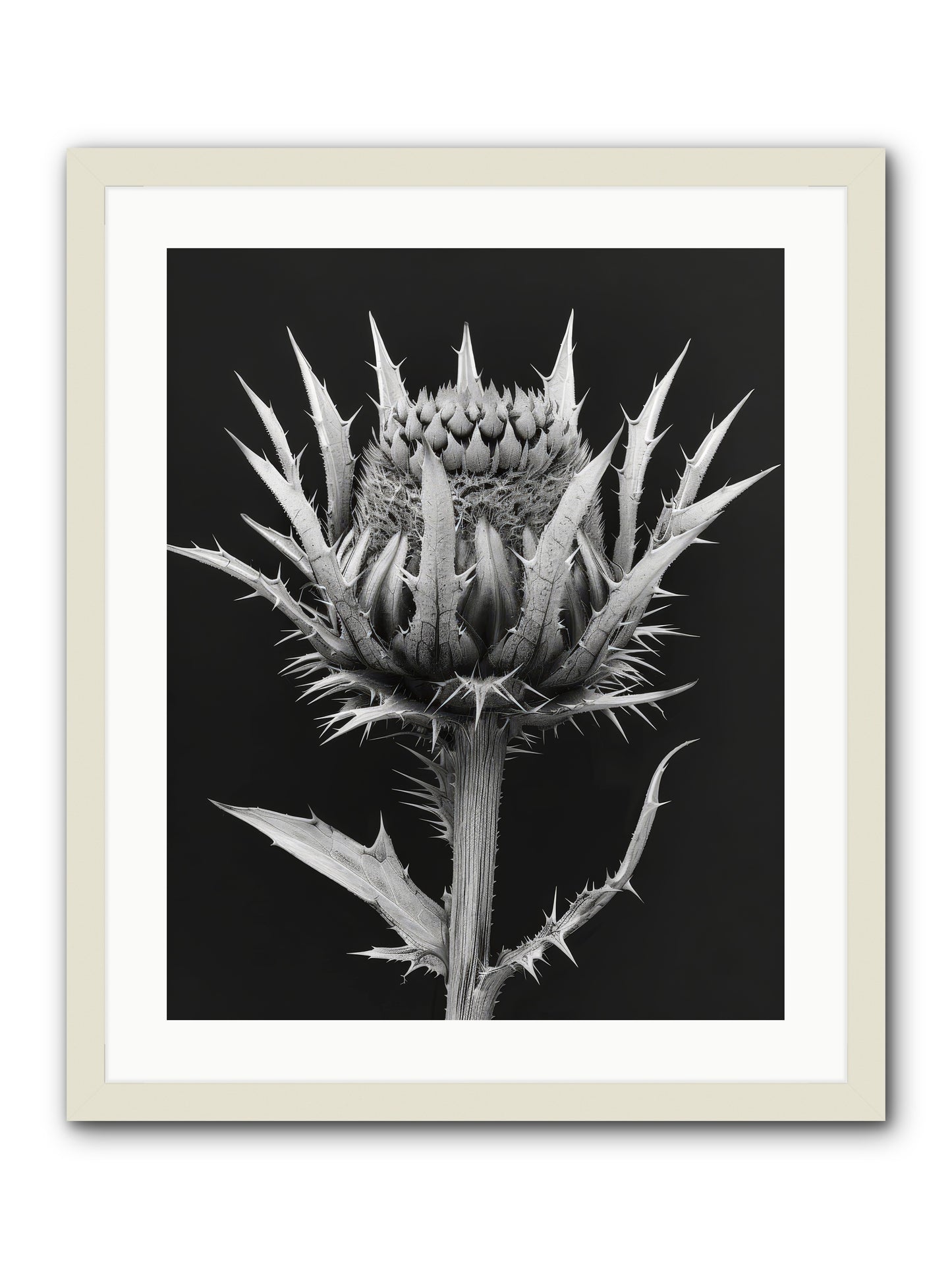 Chardon Bleu -- Framed Print - White 20x25