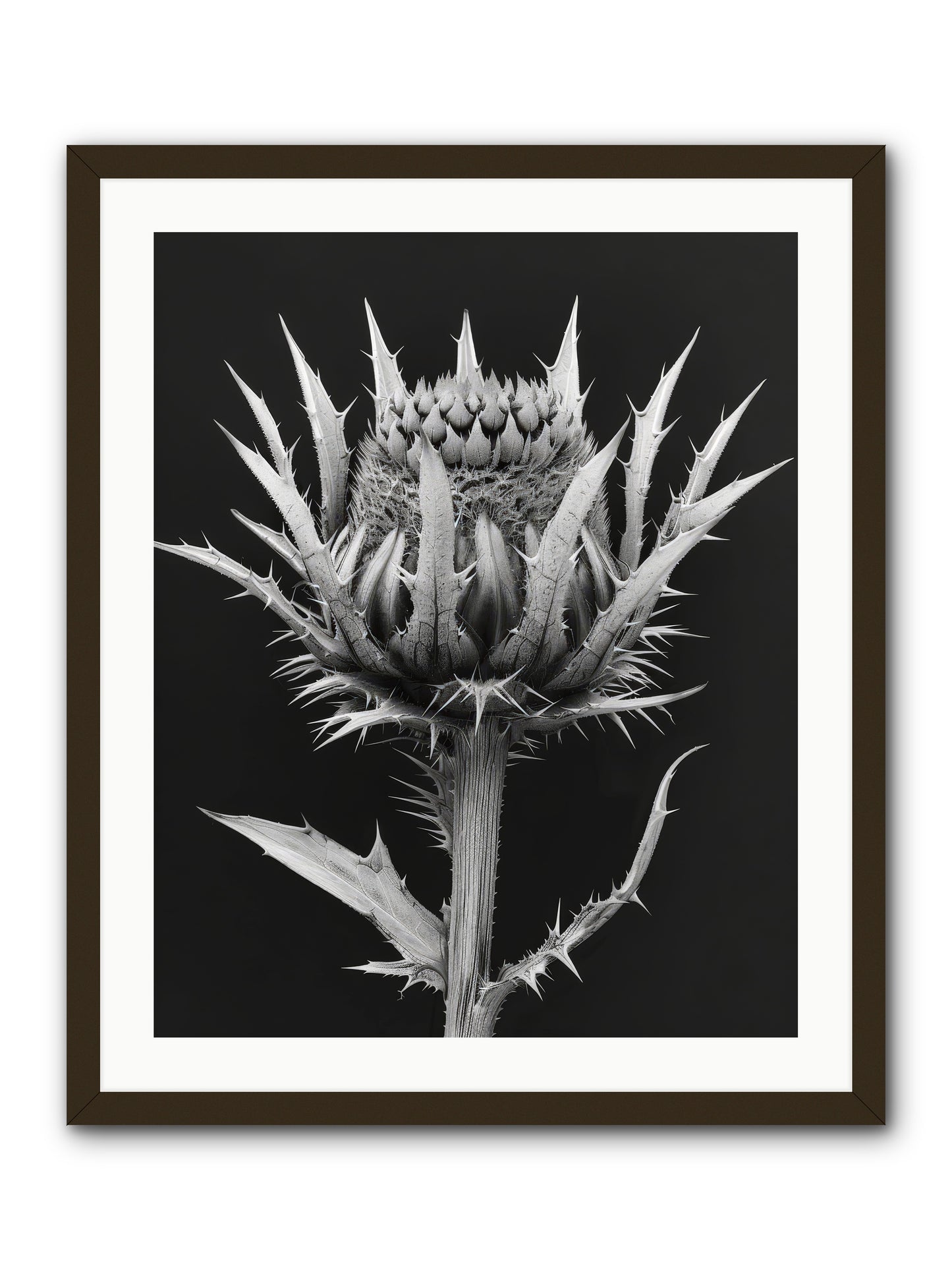 Chardon Bleu -- Framed Print - Black 24x30