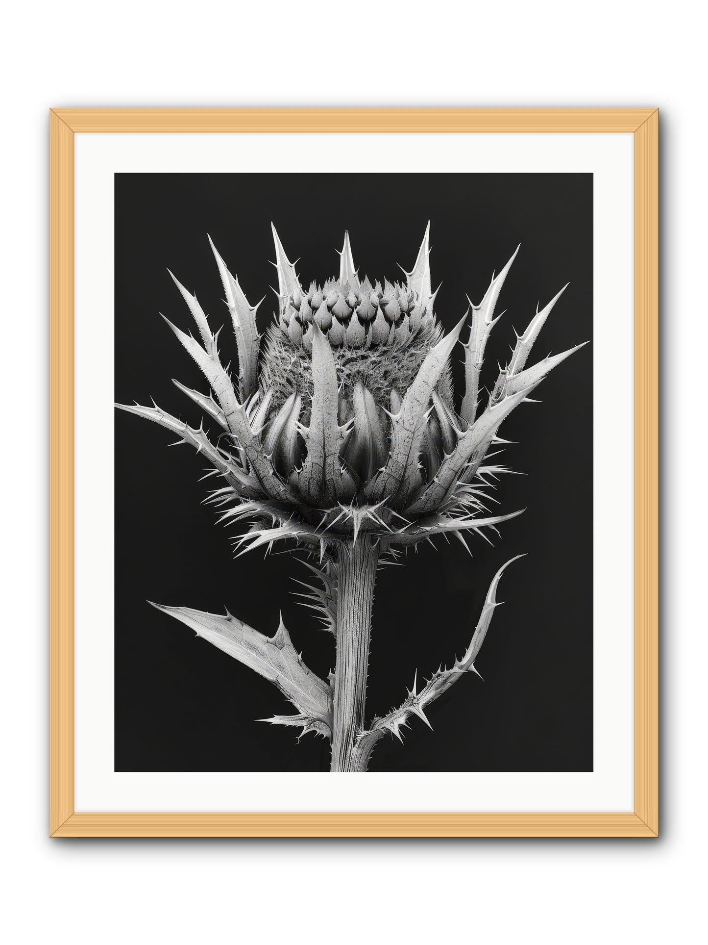 Chardon Bleu -- Framed Print - Natural 24x30