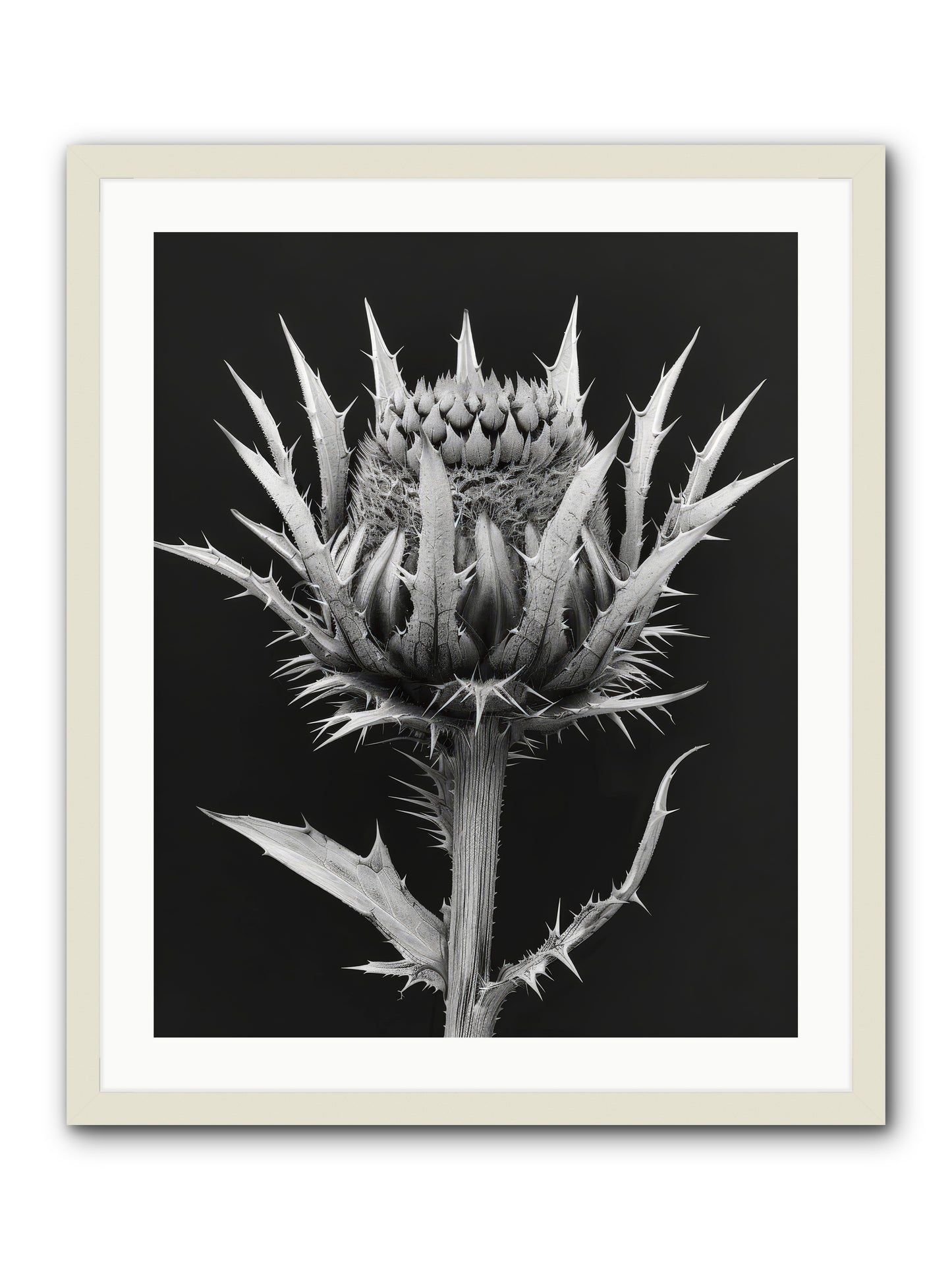 Chardon Bleu -- Framed Print - White 24x30