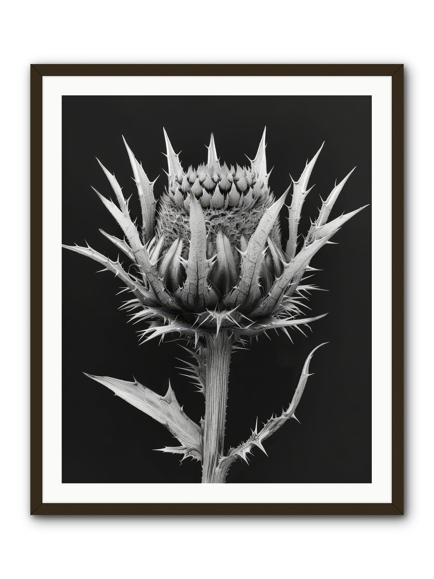 Chardon Bleu -- Framed Print - Black 32x40