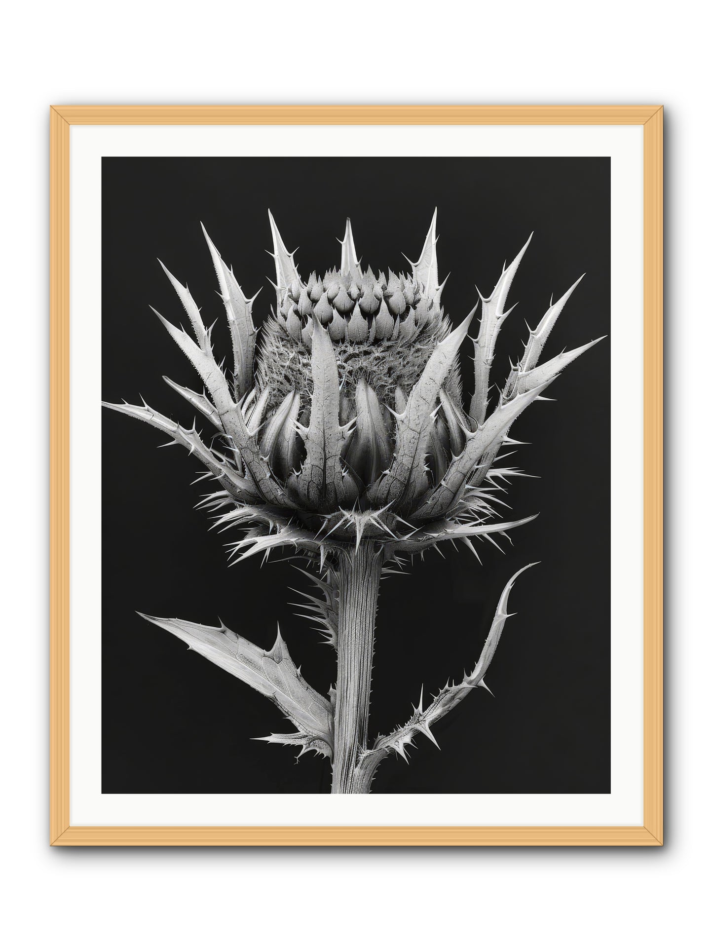 Chardon Bleu -- Framed Print - Natural 32x40