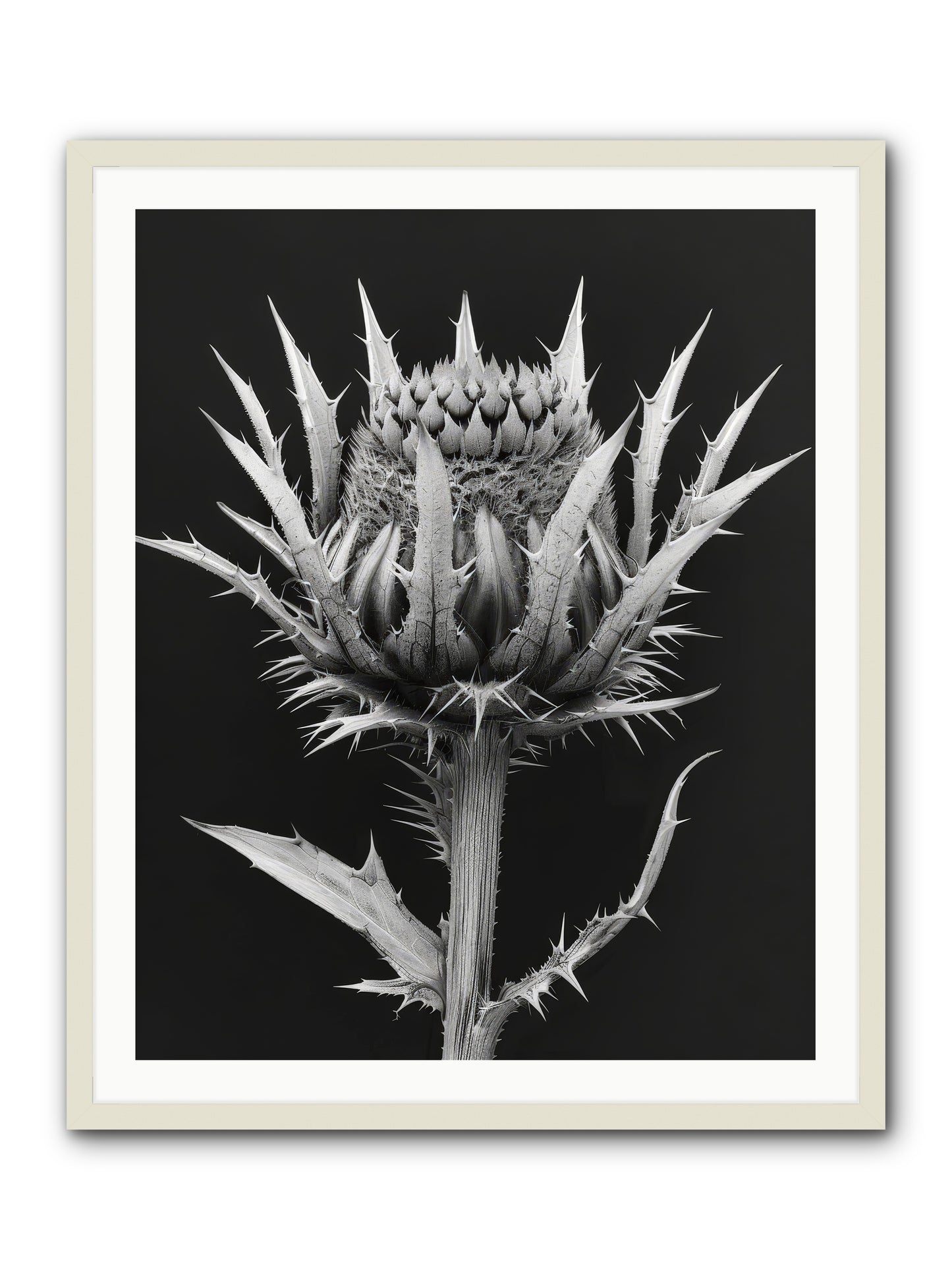 Chardon Bleu -- Framed Print - White 32x40