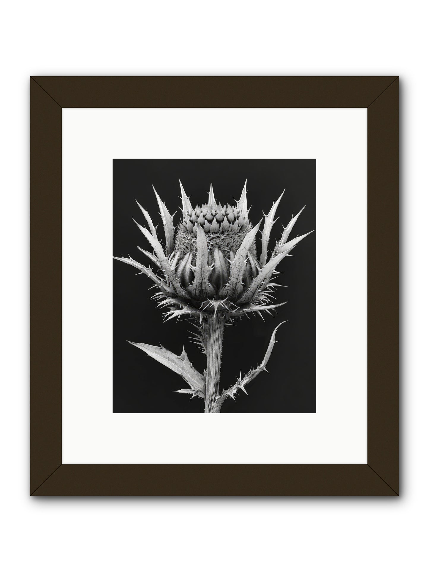 Chardon Bleu -- Framed Print - Black 8x10