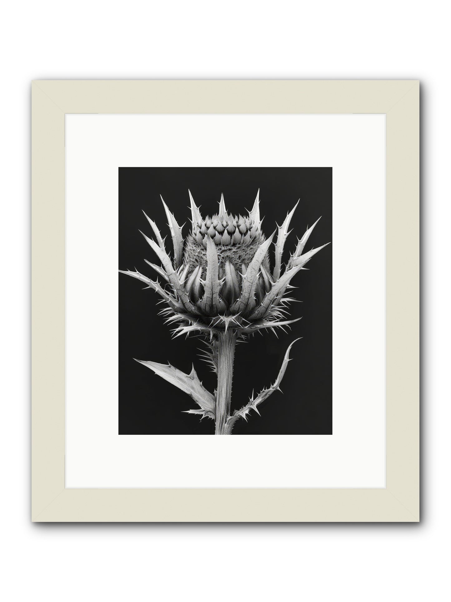 Chardon Bleu -- Framed Print - White 8x10