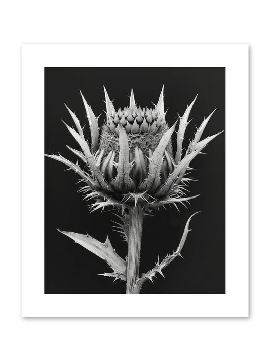 Chardon Bleu -- Paper Print 8x10