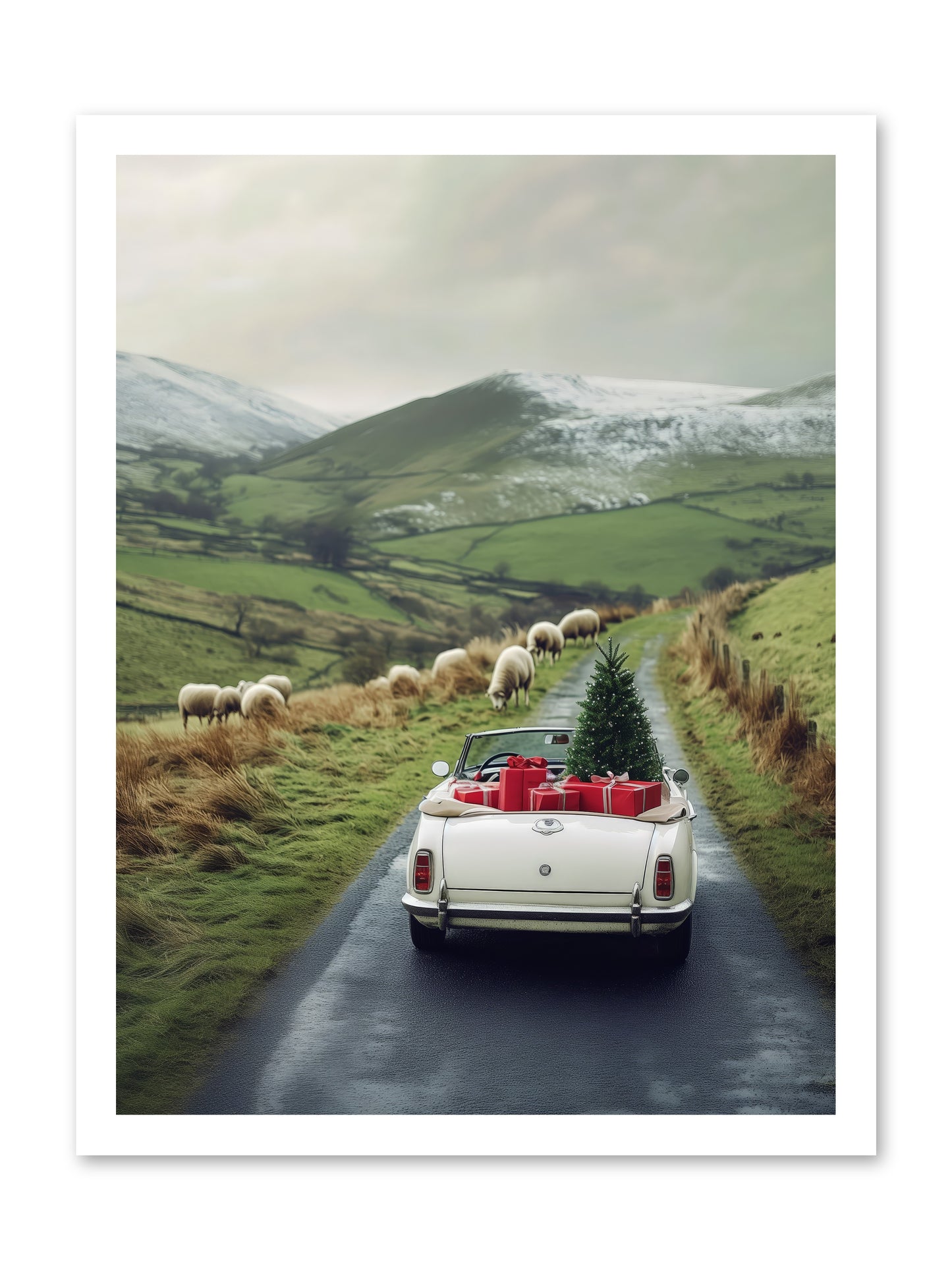 Chariot De Joie -- Loose Canvas Print 18x24