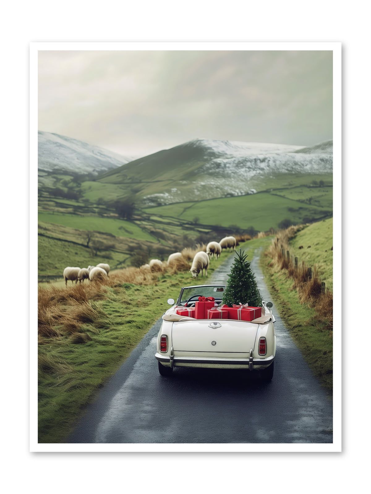 Chariot De Joie -- Loose Canvas Print 36x48