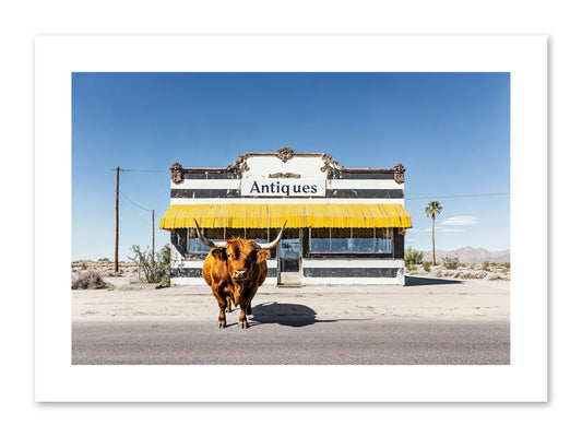 Chronicles Of Wanderlust -- Paper Print 12x8